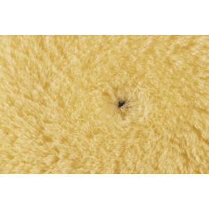Rupes NW130M Medium Γούνα Γυαλύσματος με Μικροΐνες για Φινίρισμα 130mm Rupes NW130M Medium Γούνα Γυαλύσματος με Μικροΐνες για Φινίρισμα 130mm